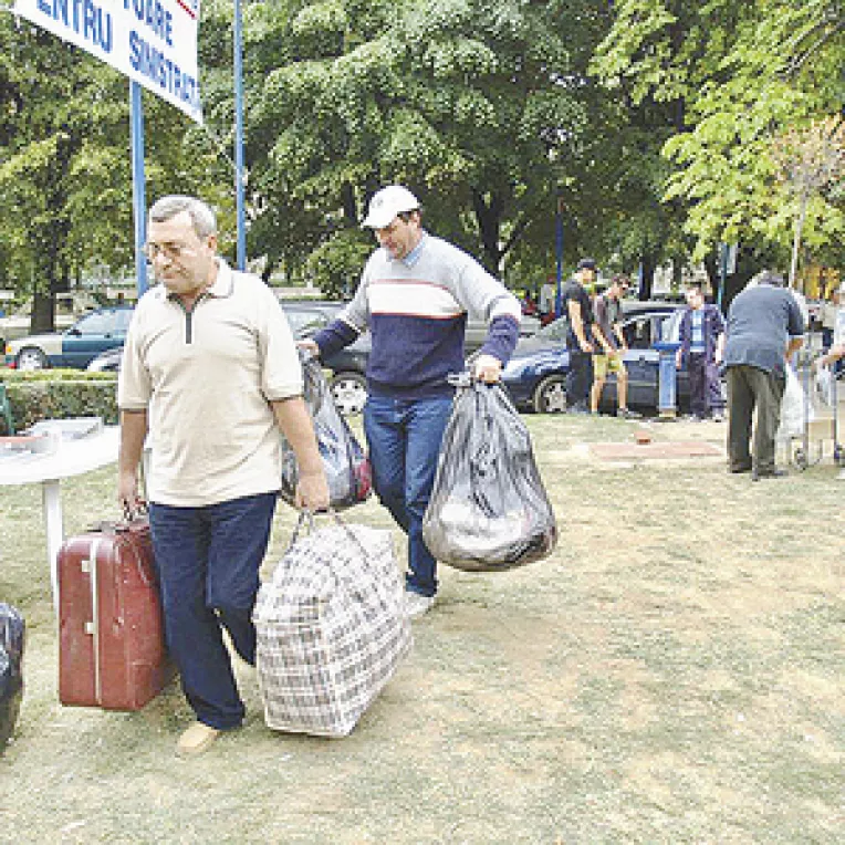 19 firme au depus oferte la a doua licitatie de materiale de constructii destinate sinistratilor