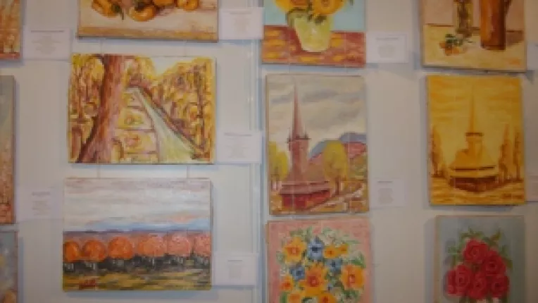 
Banii obtinuti din vanzarea tablourilor artistului plastic Ioan Vasile Bota ajung la persoanele cu dizabilitati