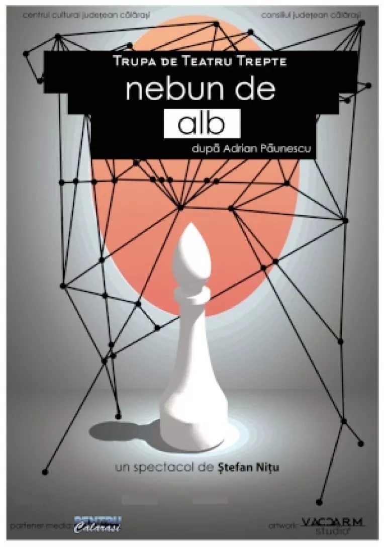 Calarasenii iubesc poezia, muzica si dansul