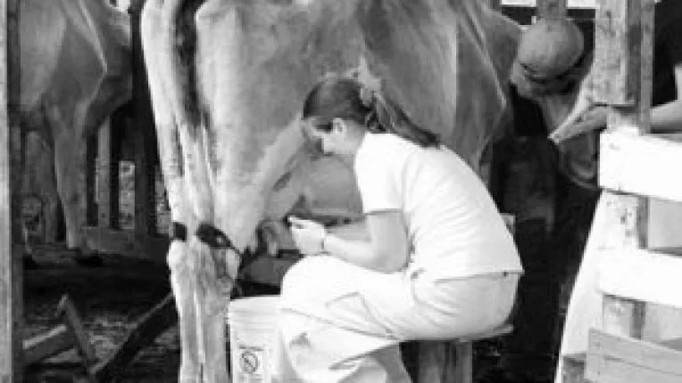 Disponibilizari in agricultura in Marea Britanie



