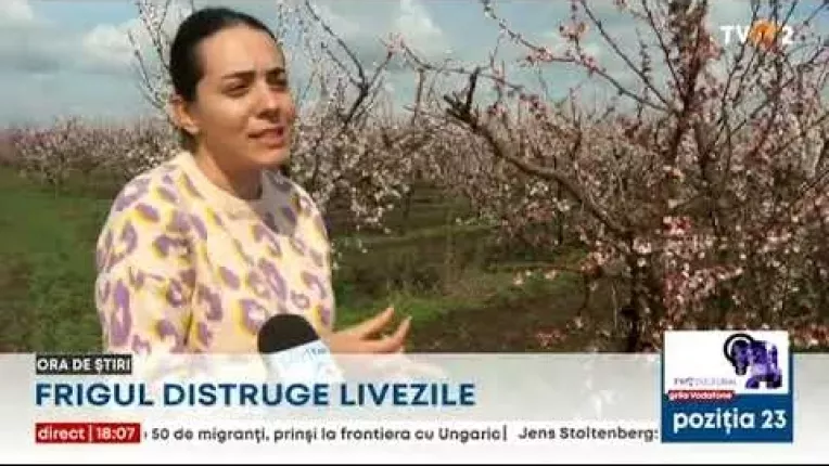 Episod de iarna in mijlocul primaverii. Pericol de inundatii in multe zone