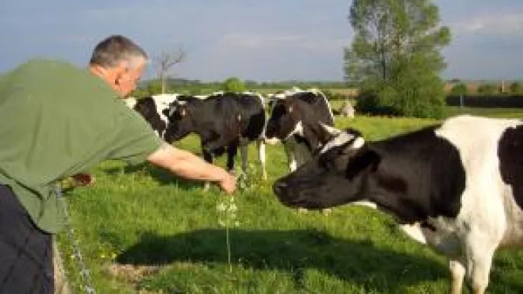 Fermierii doljeni vor tot mai multi bani