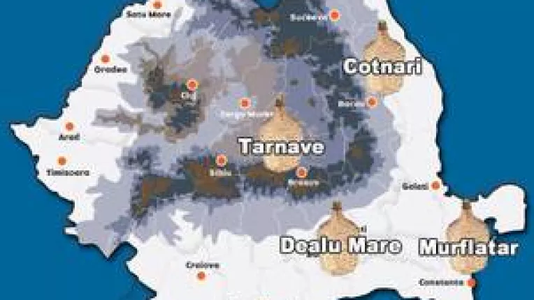 Partea buna a secetei: Vinul va fi mai mult si mai bun