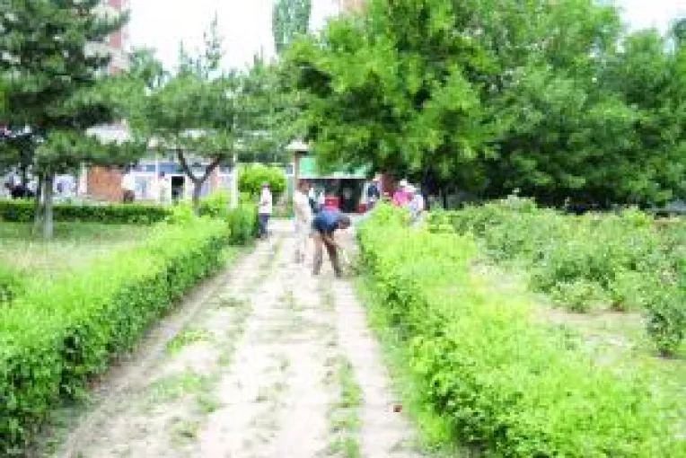 Spatiile verzi, obligatorii  prin autorizatiile de construire